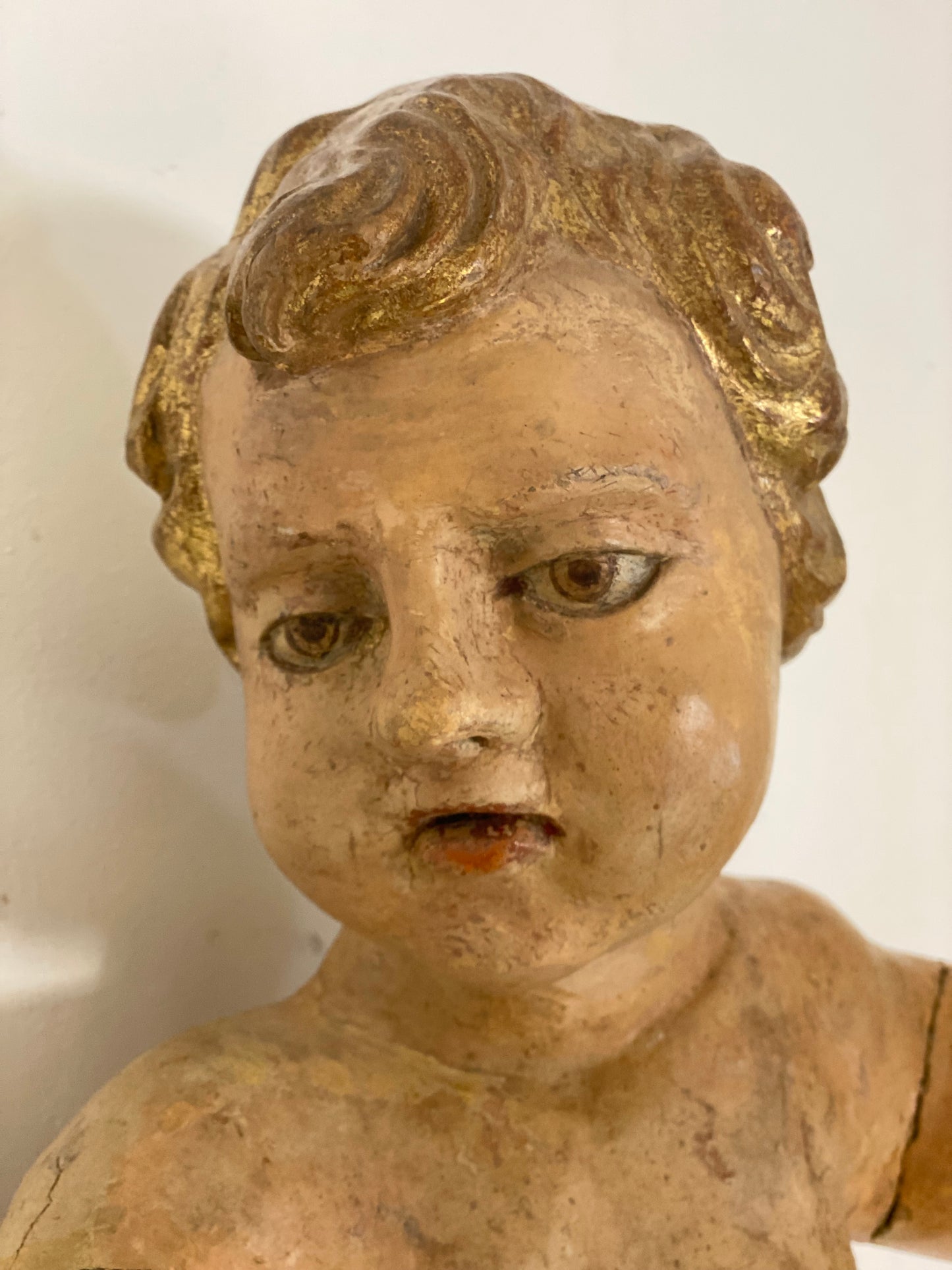 Putto ligneo cherubino scolpito laccato e dorato . XVII secolo Lombardia