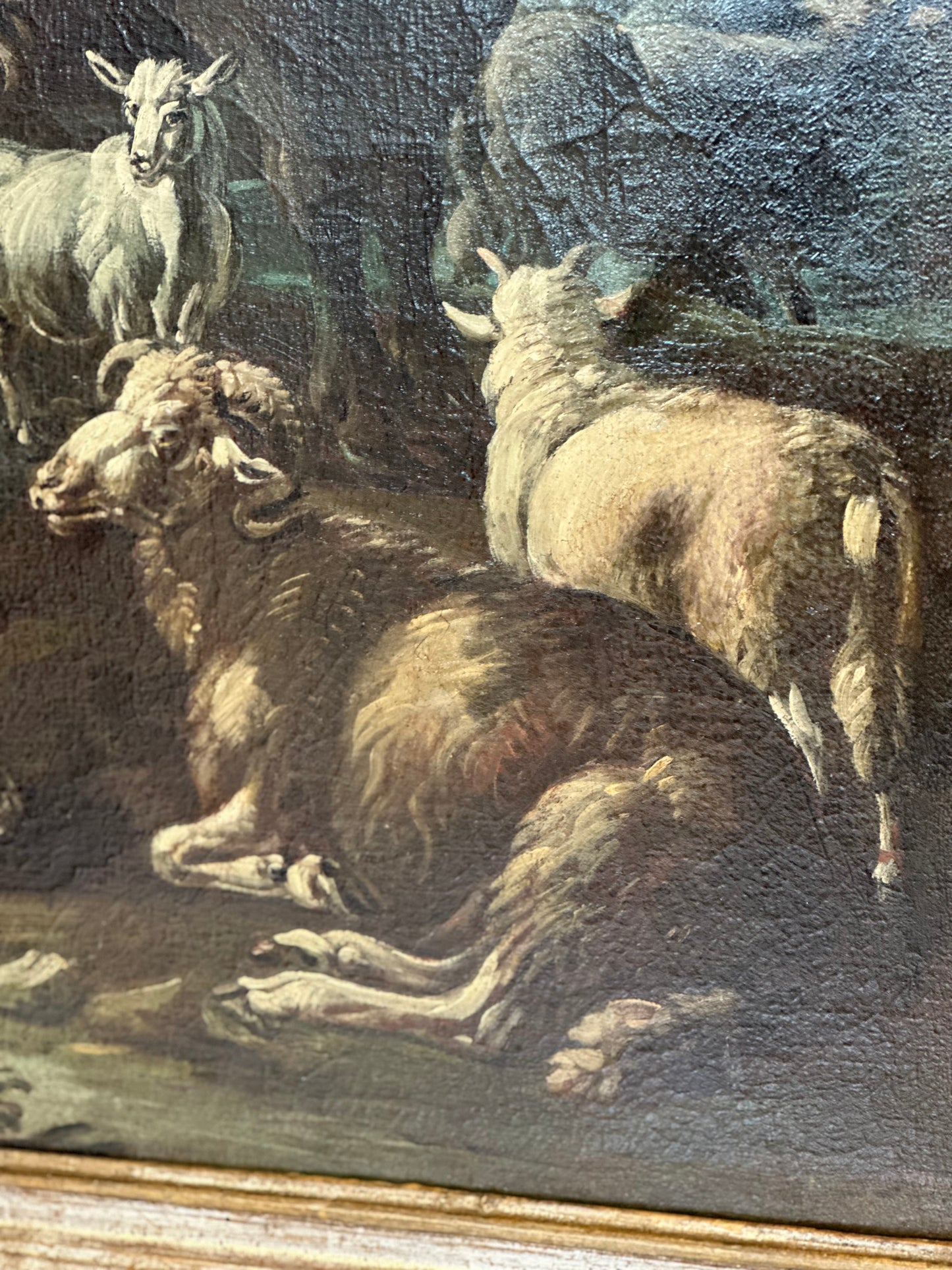 Philipp Peter Roos detto rosa da Tivoli . Francoforte 1657 / Roma 1706