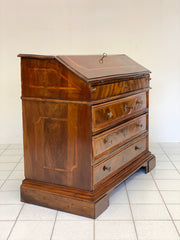 Ribalta Luigi XIV Bologna fine 600