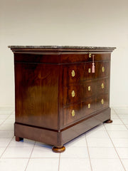Cassettone Carlo X. Parigi XIX secolo