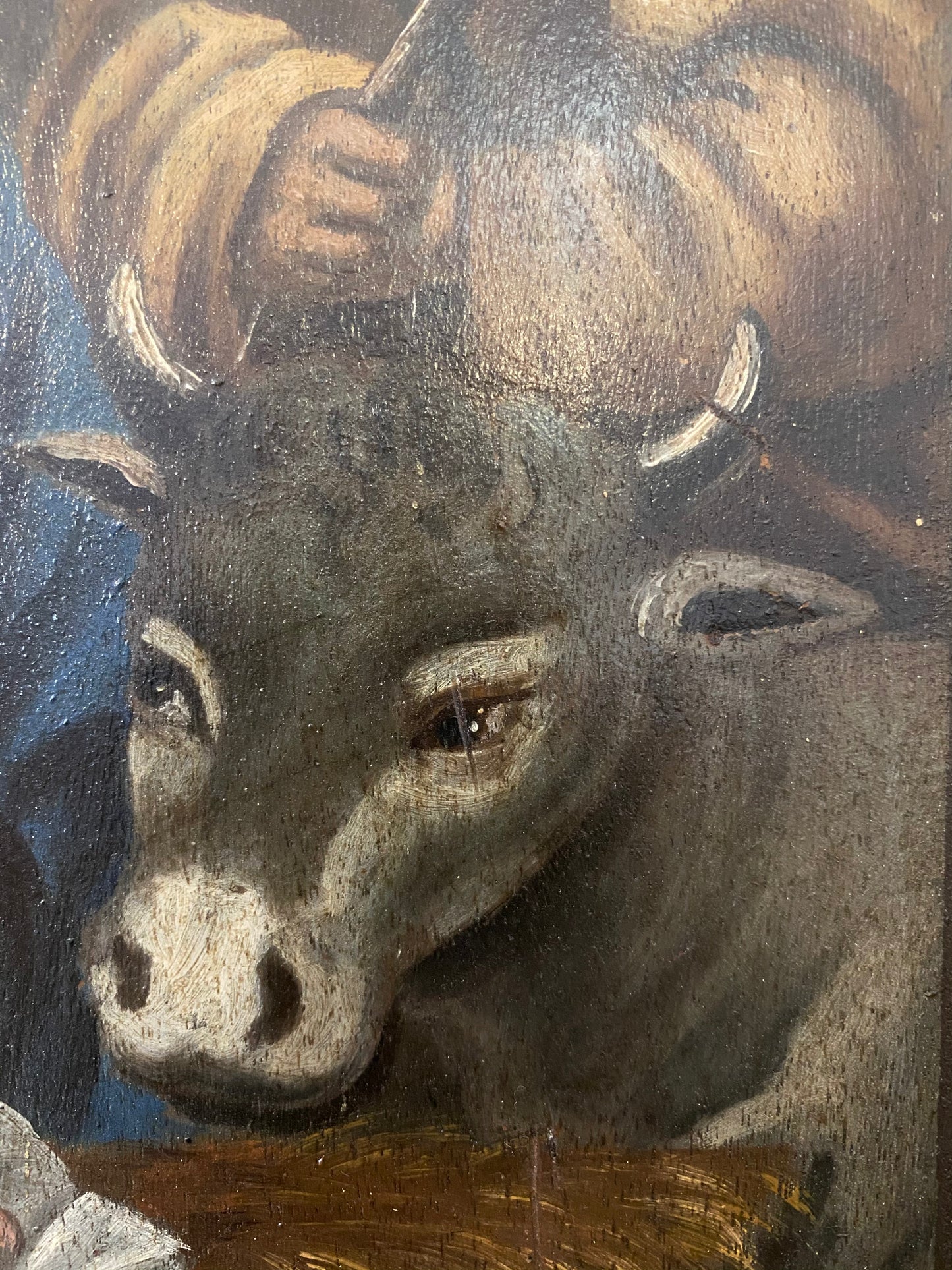 Natività scuola lombarda XVII sec. olio su tavola; 47x37 cm.