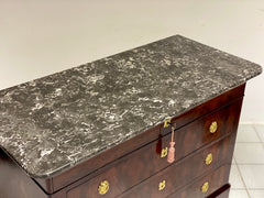 Cassettone Carlo X. Parigi XIX secolo