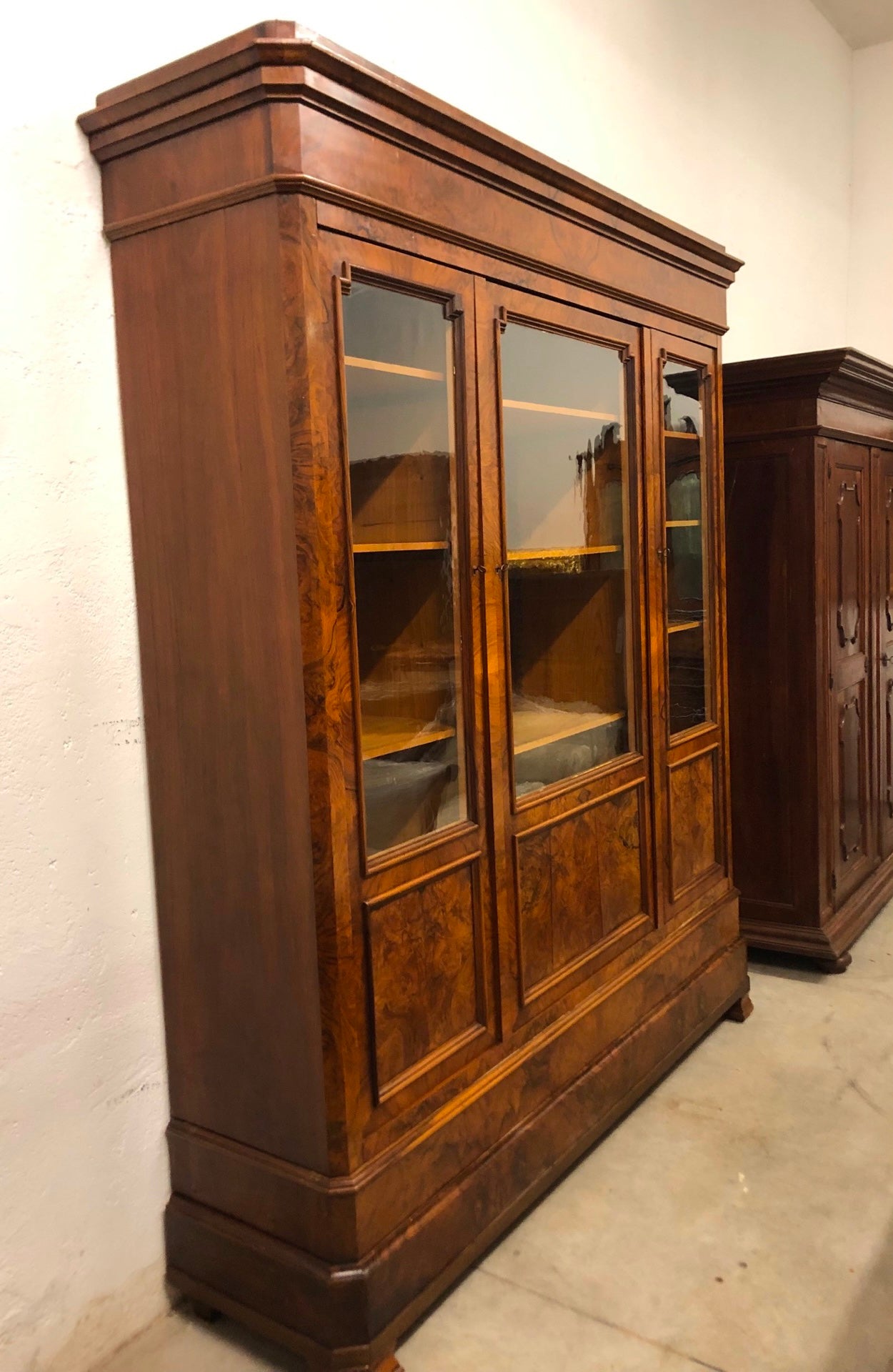 Charles X bookcase in walnut root. 19th century