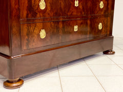 Cassettone Carlo X. Parigi XIX secolo