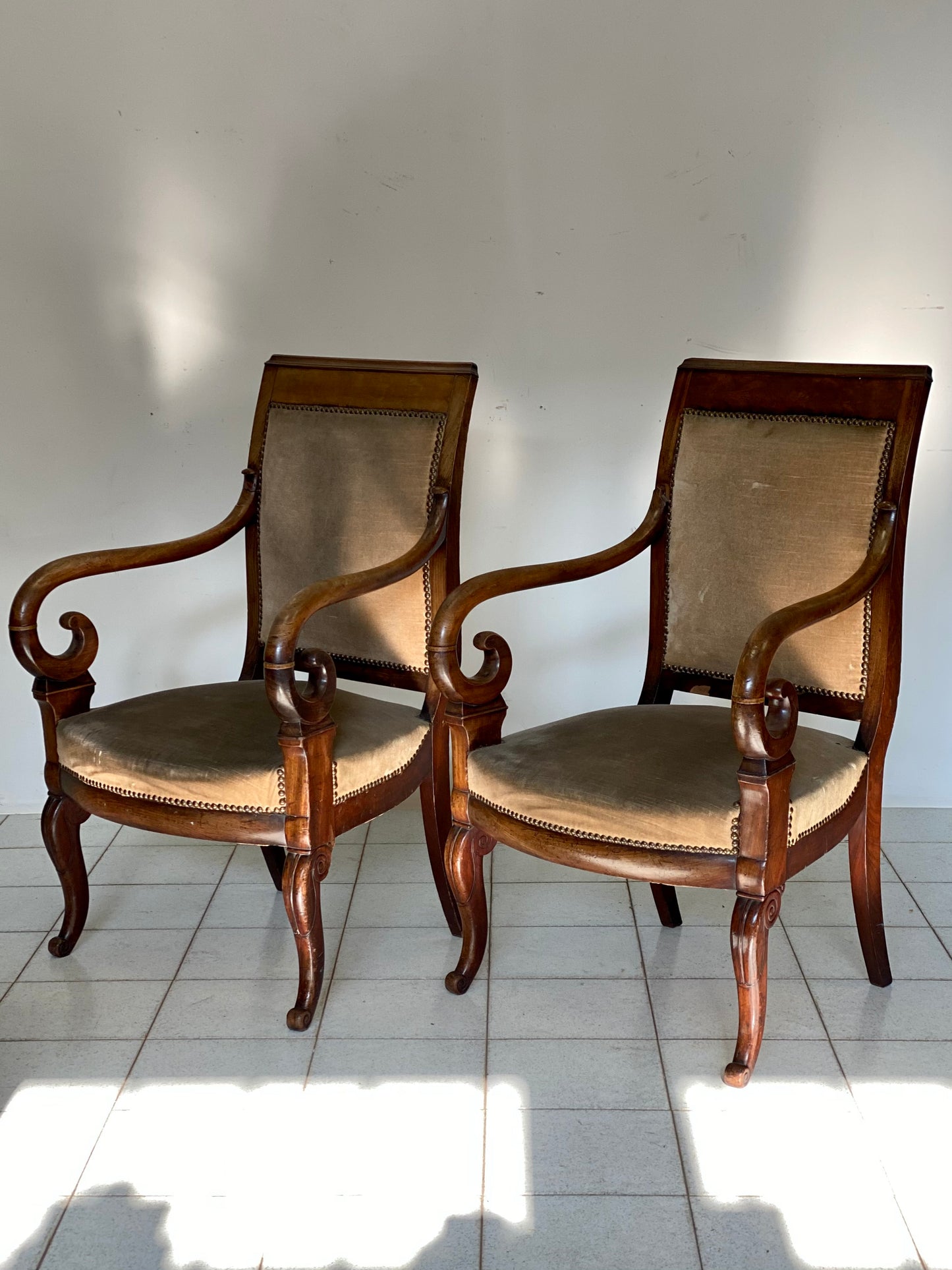 Pair of Empire Walnut Armchairs. 19th Century
