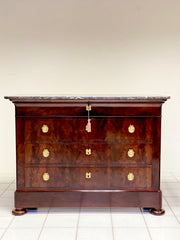 Cassettone Carlo X. Parigi XIX secolo