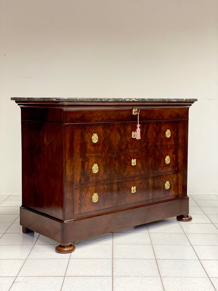 Cassettone Carlo X. Parigi XIX secolo