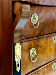 Settimanale impero lombardo piuma di noce . Inizio XIX secolo ( restaurato)