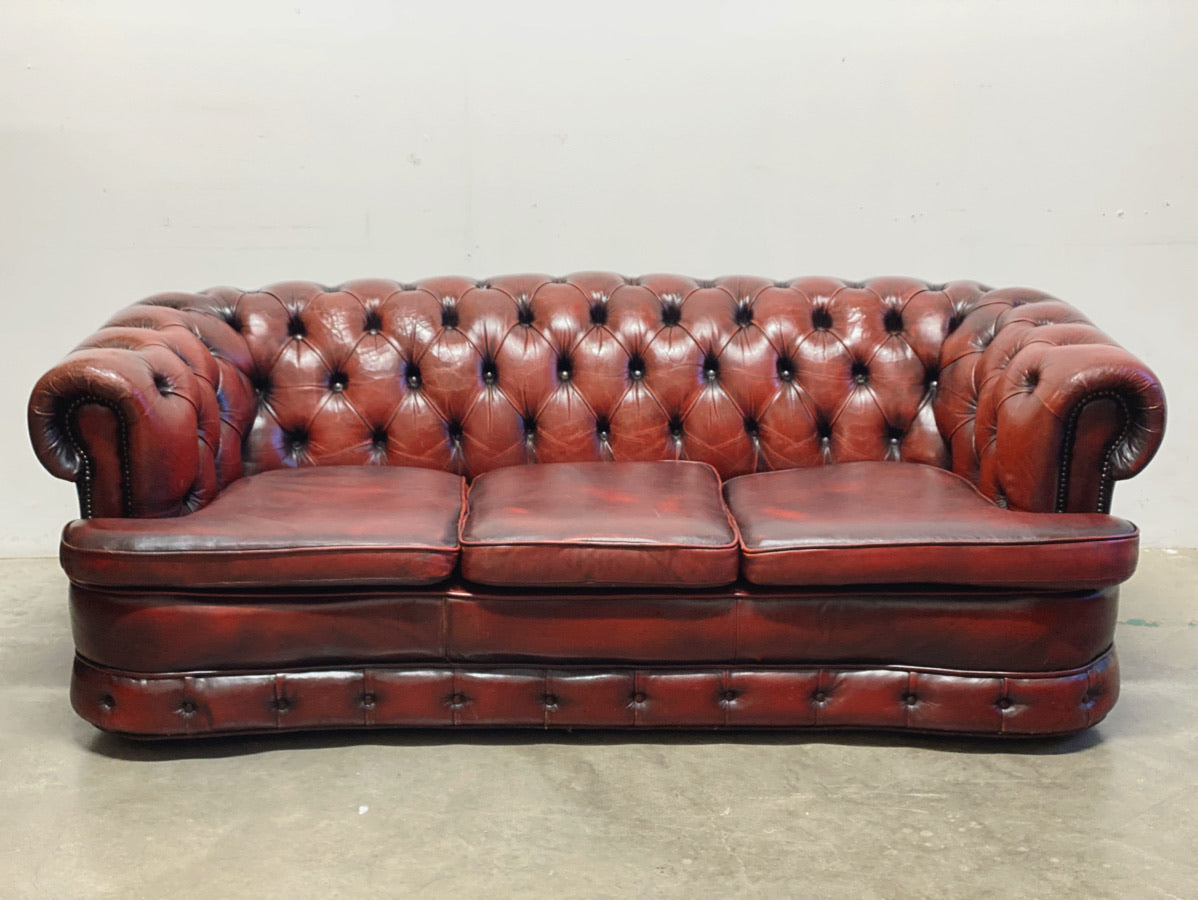 Chesterfield sofa shaped on the front in burgundy leather. England, 1960s