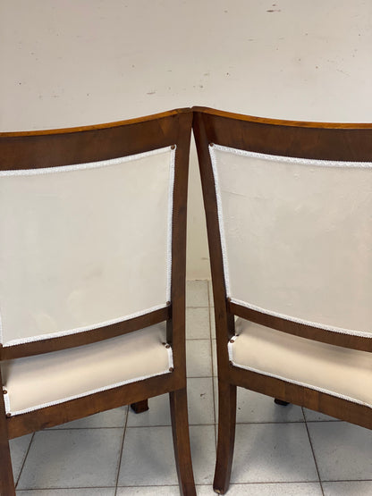 Pair of empire armchairs in rosewood. Genoa 19th century.