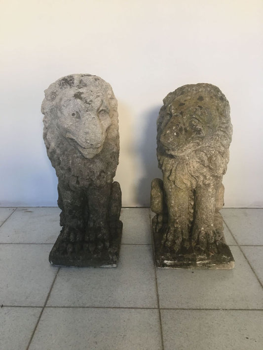 Coppia di leoni