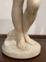 Venere al bagno marmo carrara . XIX secolo