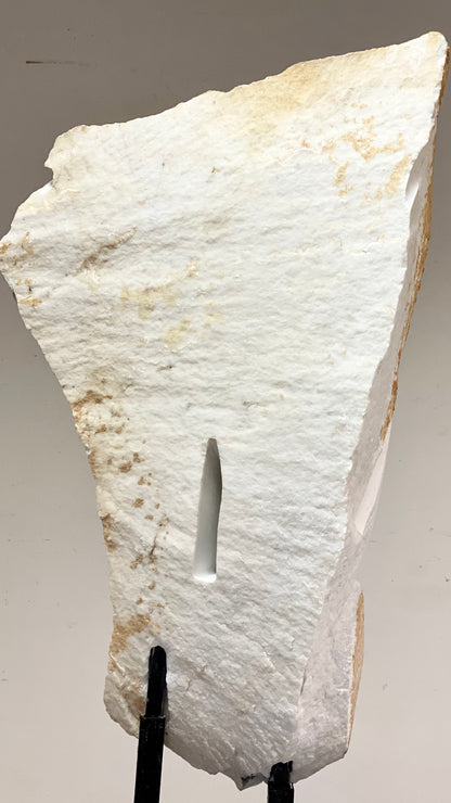 Busto in marmo Carrara .Nudo femminile inizio XX secolo