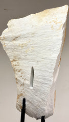 Busto in marmo Carrara .Nudo femminile inizio XX secolo