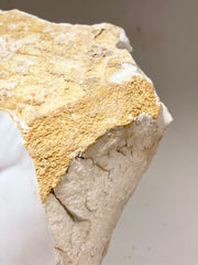 Busto in marmo Carrara .Nudo femminile inizio XX secolo