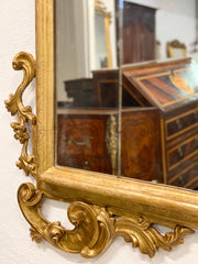 Specchiera lignea foglia oro. Marche metà XVIII secolo