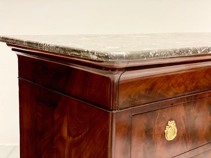 Cassettone Carlo X. Parigi XIX secolo