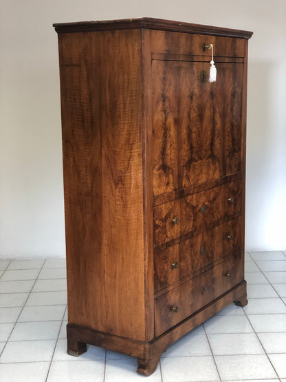 Carlo X secretaires in walnut and walnut root