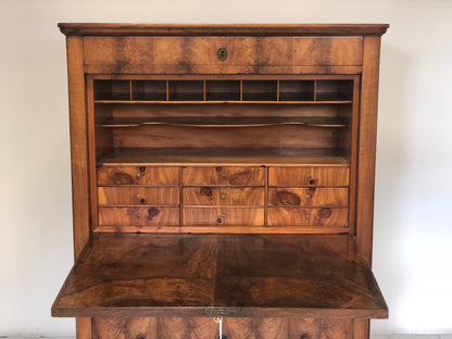 Carlo X secretaires in walnut and walnut root
