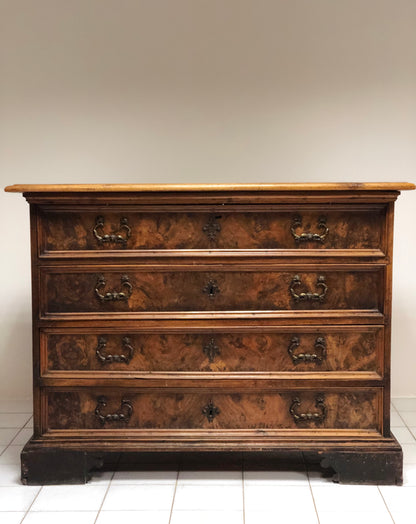 Walnut and briar chest of drawers. Modena Reggio. Louis XIV