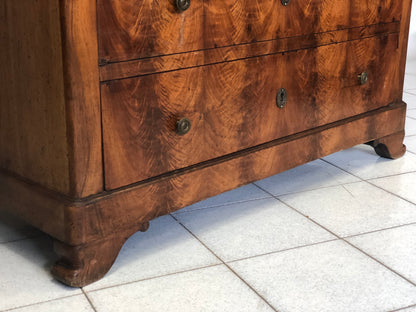 Carlo X secretaires in walnut and walnut root