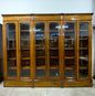 Libreria lombarda Carlo X in noce . XIX secolo